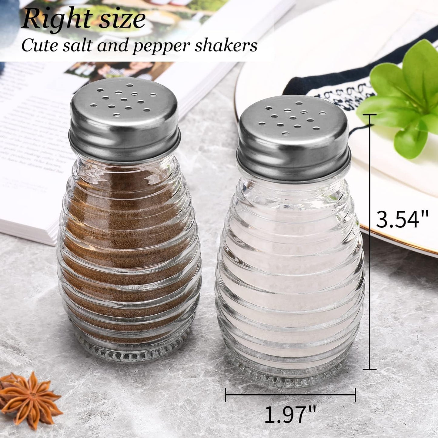 Glass Salt and Pepper Shakers Set,Oval Salt Shaker Set